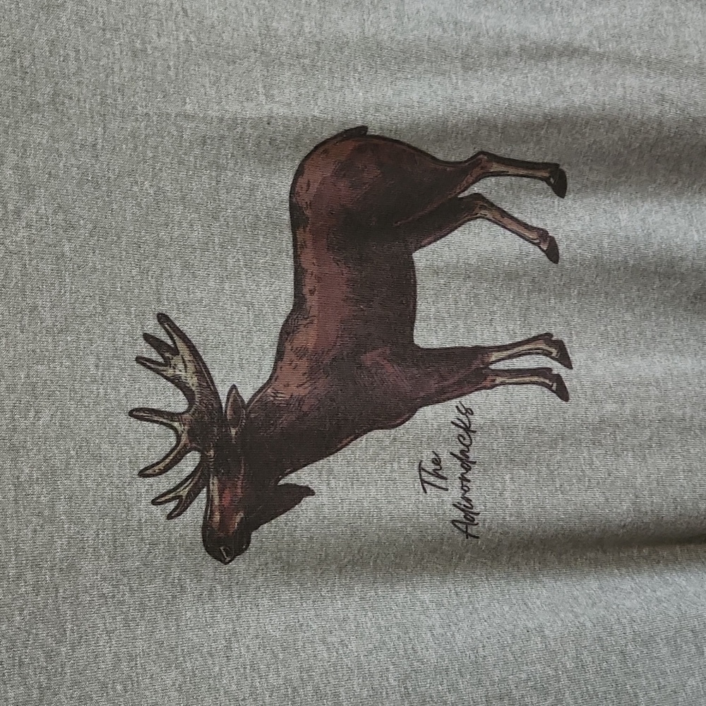 NWOT New York Adirondacks Moose Tee, Small